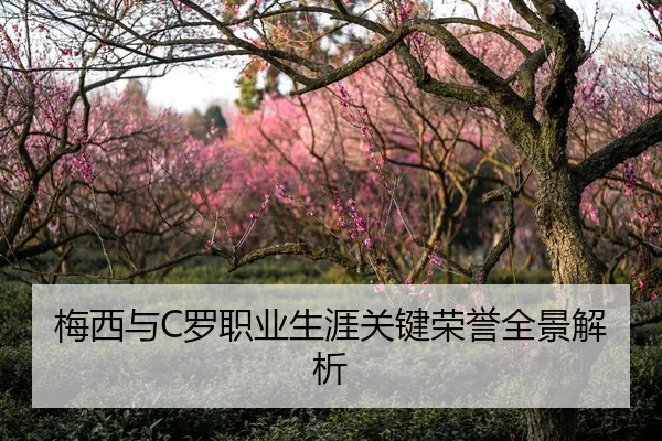 梅西与C罗职业生涯关键荣誉全景解析